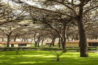 Horse Country Resort